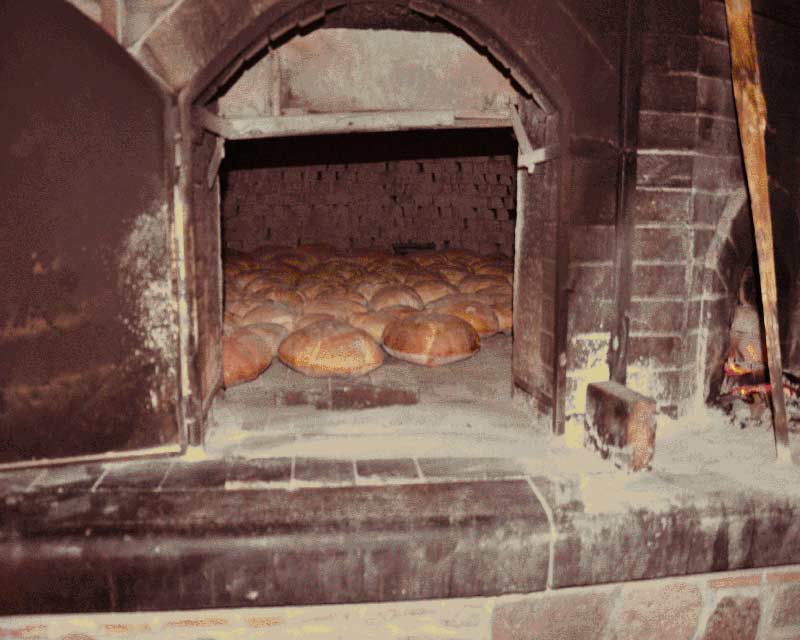 Forno a legna
