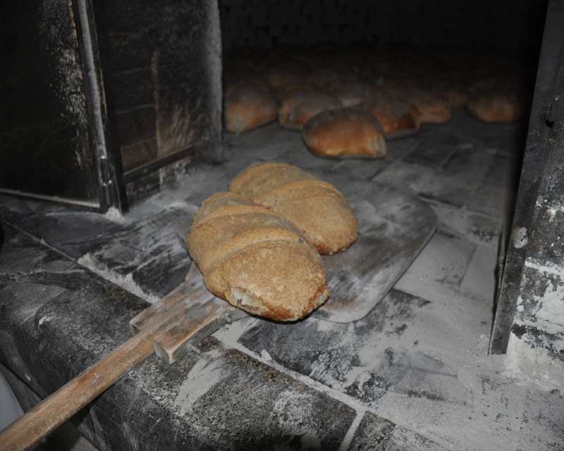 pane cotto a legna